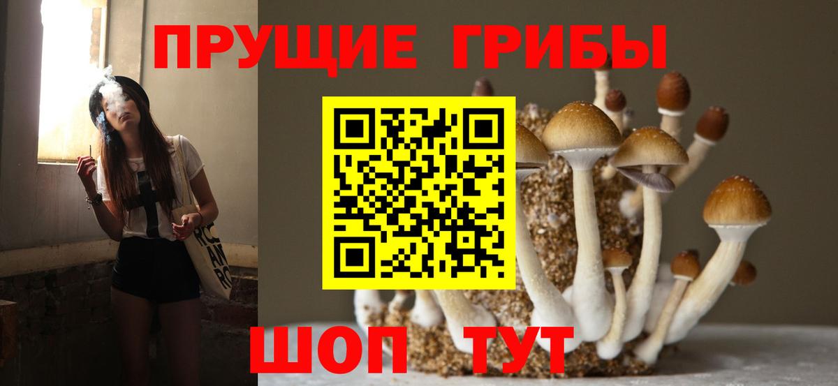 Галлюциногенные грибы MAGIC MUSHROOMS  Галлюциногенные грибы ЛСД  где продают наркотики  Киселёвск  Вход с VPN 